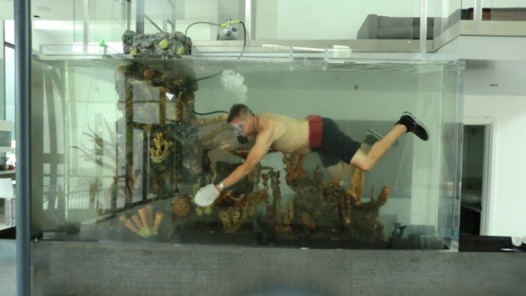 Custom aquarium by Aquarium Center