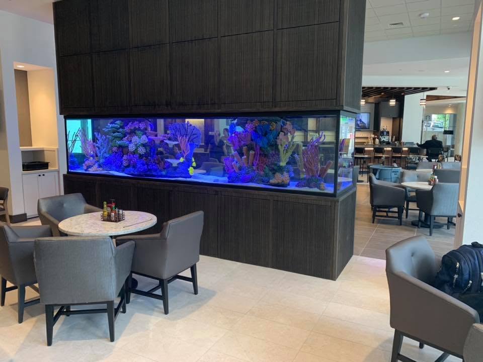 Large reef aquarium in a commercial lobby seating area